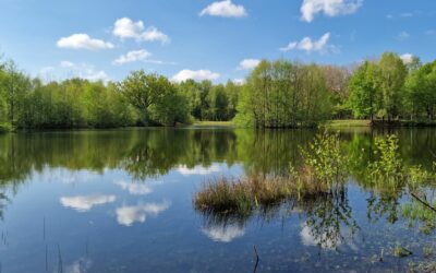 Ouverture de l’Espace Naturel Sensible du 15 juin au 31 juillet 2024